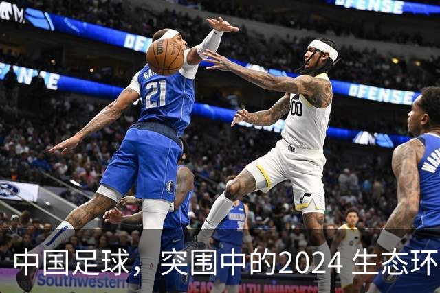 中国足球，突围中的2024 生态环境将实现好转