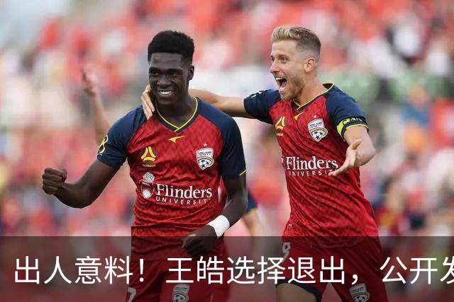 出人意料！王皓选择退出，公开发声回应缘由，乒协意外批准这项决定