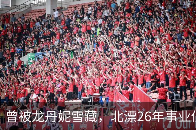 曾被龙丹妮雪藏，北漂26年事业低迷，靠小商演谋生，与许飞隔阂深
